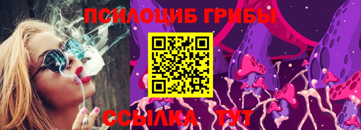 Галлюциногенные грибы мицелий  Псилоцибиновые грибы мухоморы  Кореновск  что такое наркотик  Вход с VPN 